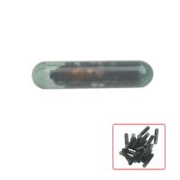 GM - 10pcs / PLD - id13 Glass Transponder Chip